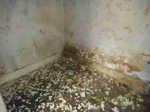 15399 Rosa Parks (19)_m.jpg